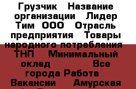 Грузчик › Название организации ­ Лидер Тим, ООО › Отрасль предприятия ­ Товары народного потребления (ТНП) › Минимальный оклад ­ 20 000 - Все города Работа » Вакансии   . Амурская обл.,Благовещенск г.